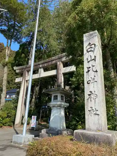 白山比咩神社の鳥居