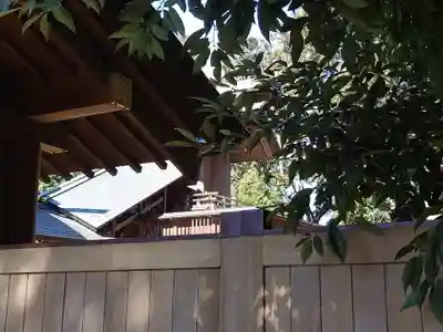 櫻木神社の本殿・本堂