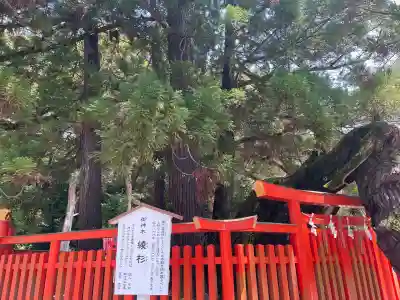 香椎宮(福岡県)