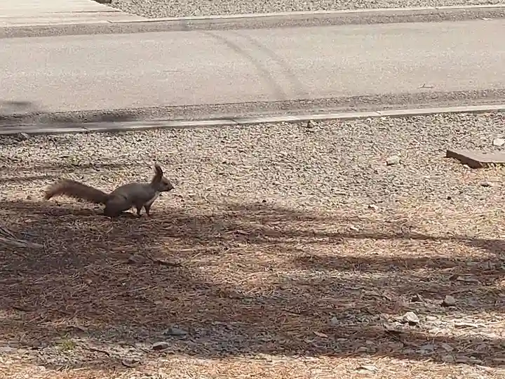 石山神社(北海道)