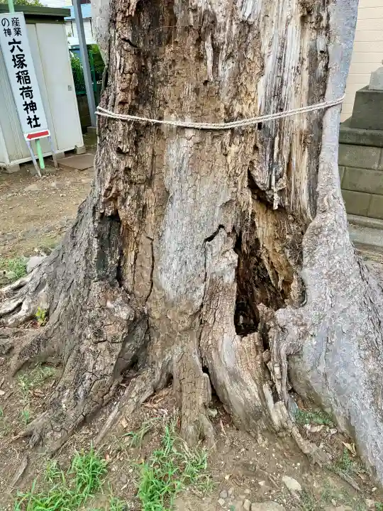 菅原神社(埼玉県)