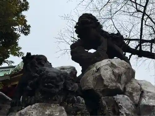 神田神社（神田明神）の狛犬