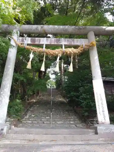 龍尾神社の鳥居