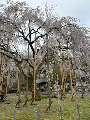 足羽神社の{uncategorized: "未分類", other: "その他", undefined: "問題あり", building: "その他建物", grave: "お墓", sacred_gate: "鳥居", guardian: "狛犬", statue: "像", buddha: "仏像", history: "歴史", nature: "自然", garden: "庭園", animal: "動物", pagoda: "塔", temizu: "手水舎", mountain_gate: "山門・神門", sanctuary: "本殿・本堂", subordinate: "末社・摂社", art: "芸術", scenery: "景色", jizo: "地蔵", ema: "絵馬", goshuin: "御朱印", omikuji: "おみくじ", items: "授与品その他", amulet: "お守り", goshuincho: "御朱印帳", eats: "食事", festival: "お祭り", votive_dance: "神楽", shichigosan: "七五三参", wedding: "結婚式", experience: "体験その他", initially: "初詣", around: "周辺", anti_infection: "感染症対策"}