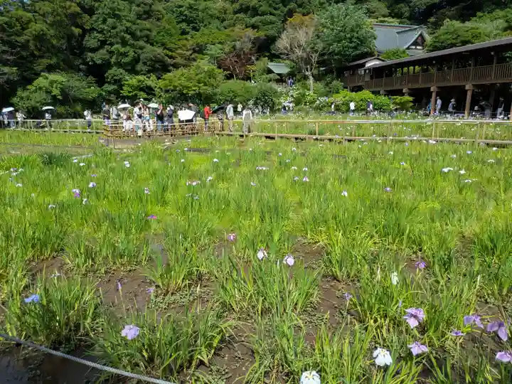 本土寺(千葉県)
