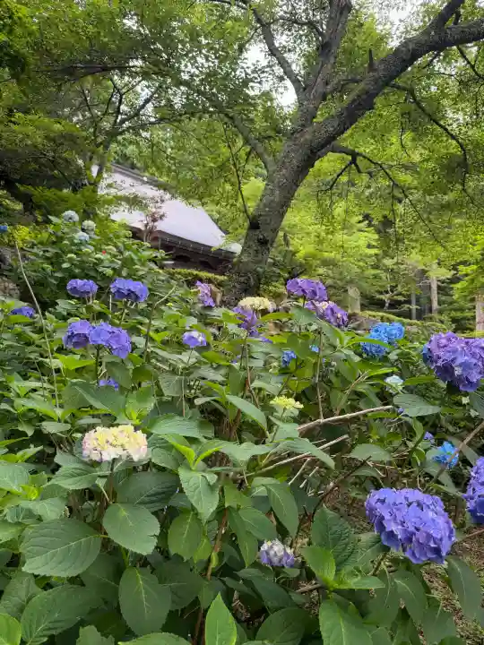 石道寺(滋賀県)