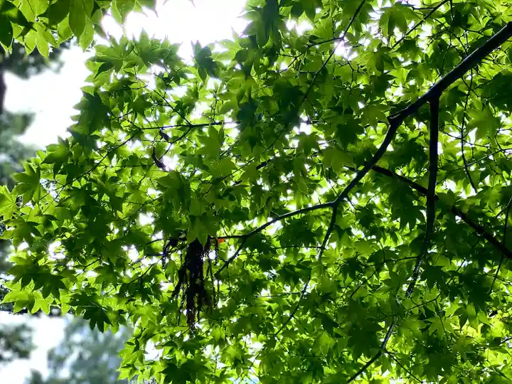 手長神社(長野県)