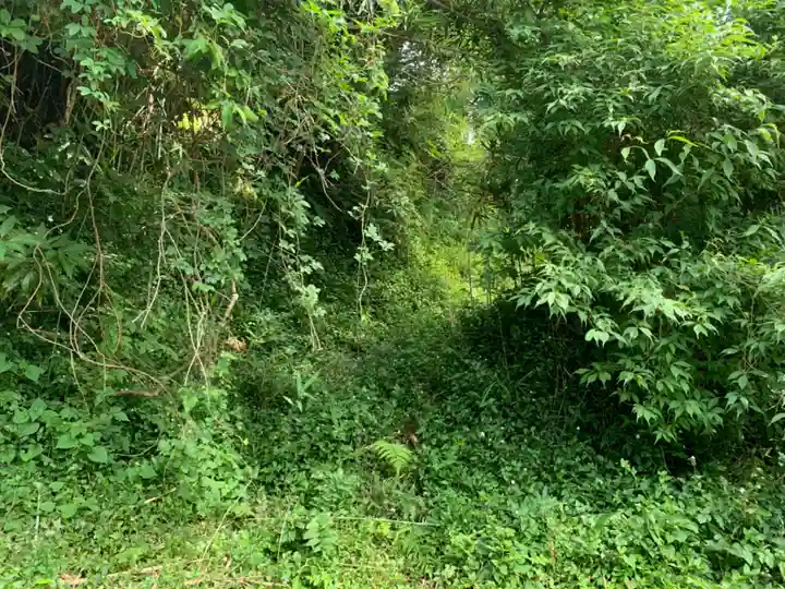 稲荷神社の周辺