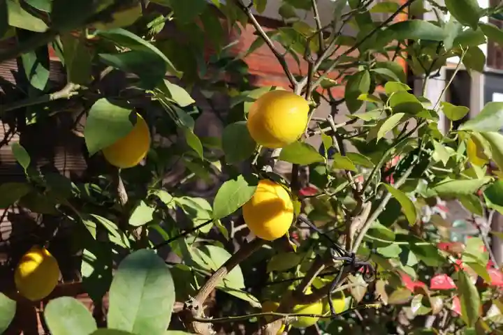 御嶽山神社の庭園