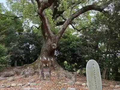 壺井八幡宮の{uncategorized: "未分類", other: "その他", undefined: "問題あり", building: "その他建物", grave: "お墓", sacred_gate: "鳥居", guardian: "狛犬", statue: "像", buddha: "仏像", history: "歴史", nature: "自然", garden: "庭園", animal: "動物", pagoda: "塔", temizu: "手水舎", mountain_gate: "山門・神門", sanctuary: "本殿・本堂", subordinate: "末社・摂社", art: "芸術", scenery: "景色", jizo: "地蔵", ema: "絵馬", goshuin: "御朱印", omikuji: "おみくじ", items: "授与品その他", amulet: "お守り", goshuincho: "御朱印帳", eats: "食事", festival: "お祭り", votive_dance: "神楽", shichigosan: "七五三参", wedding: "結婚式", experience: "体験その他", initially: "初詣", around: "周辺", anti_infection: "感染症対策"}