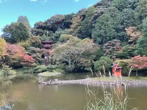 浄瑠璃寺(京都府)