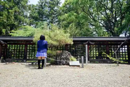 作楽神社の自然