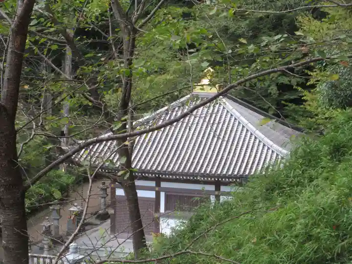 長谷寺(奈良県)