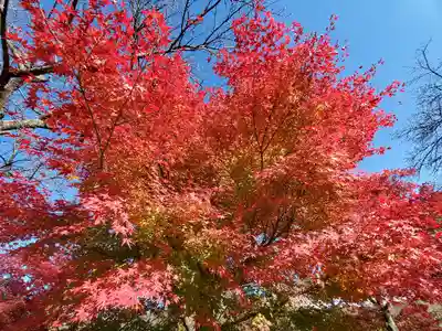 緑水神社の自然