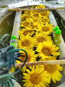 立志神社(滋賀県)(2023年06月30日(金) 12時04分45秒投稿)