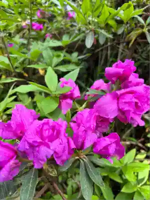 日光大室高龗神社(栃木県)