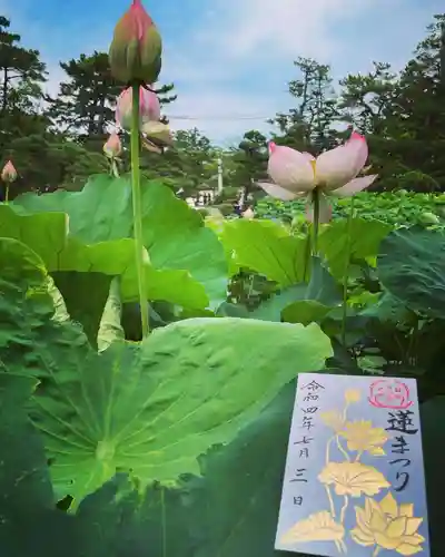 白山神社の庭園