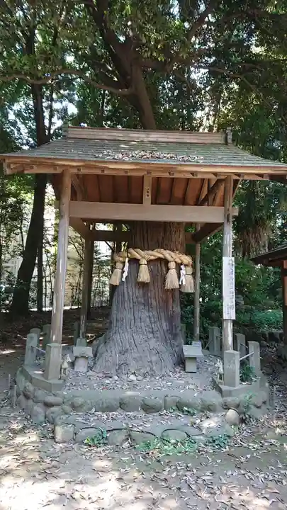 三ケ尻八幡神社の自然