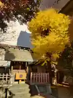 金刀比羅神社(東京都)