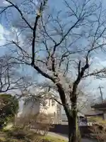 諏訪神社(埼玉県)