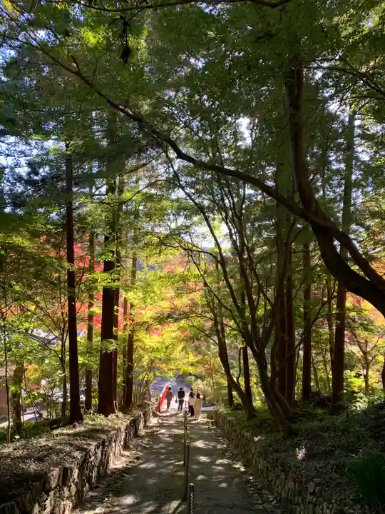 普門寺(切り絵御朱印発祥の寺)(愛知県)