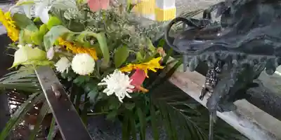 彌彦神社　(伊夜日子神社)の手水舎