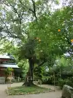 賣太神社の周辺