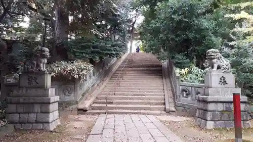 赤坂氷川神社の狛犬