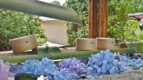 勝林寺の手水舎