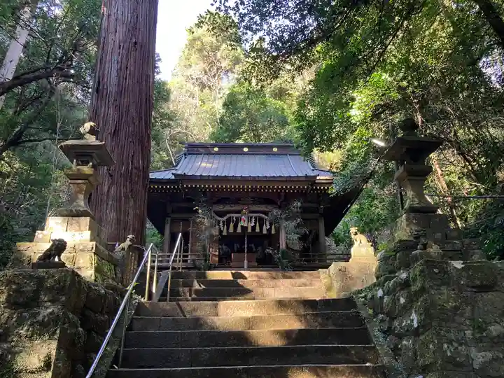 八幡宮來宮神社(静岡県)
