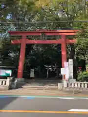 世田谷八幡宮の鳥居