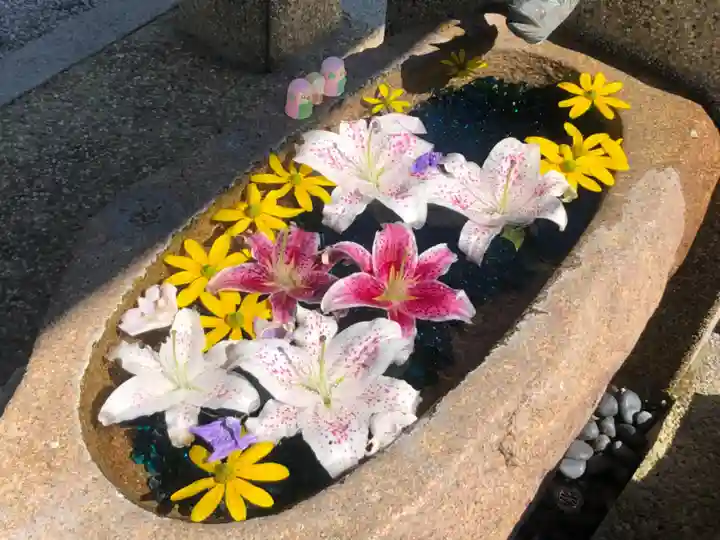 水堂須佐男神社の手水舎