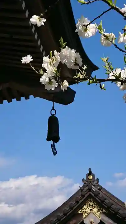 金蔵院のその他建物