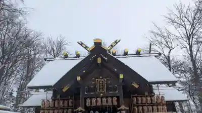 旭川神社の初詣