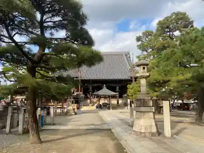 葛井寺(大阪府)