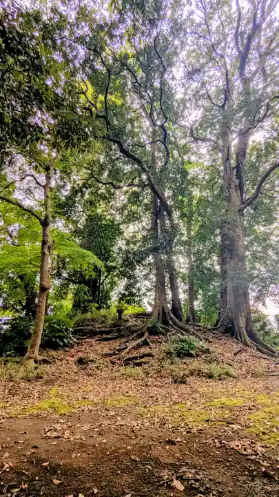 七百餘所神社 の歴史
