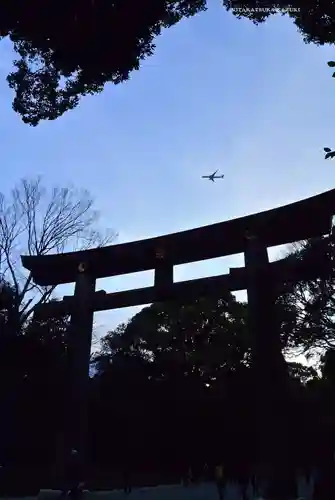 明治神宮(東京都)