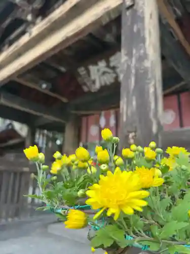 青井阿蘇神社(熊本県)