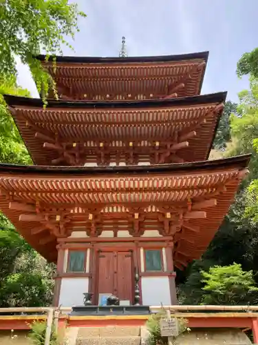 浄瑠璃寺(京都府)
