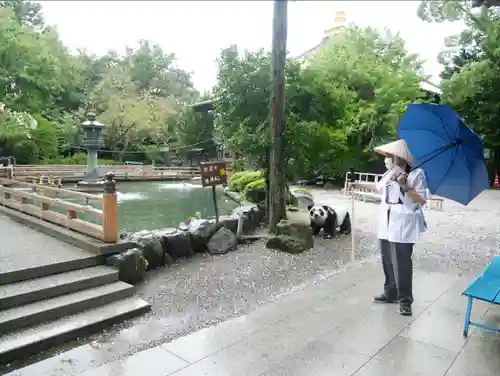 霊山寺の庭園