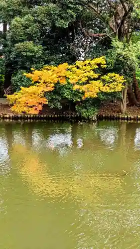 菊田神社の景色