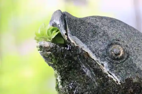 神炊館神社 ⁂奥州須賀川総鎮守⁂の手水舎