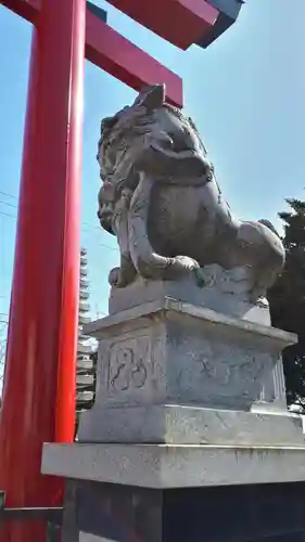 白老八幡神社の狛犬