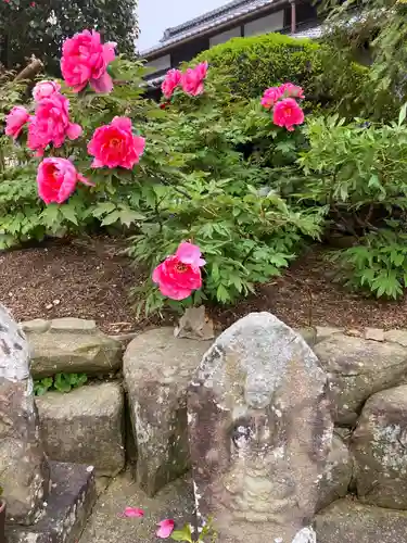 真言宗　善通寺派　薬王寺(香川県)