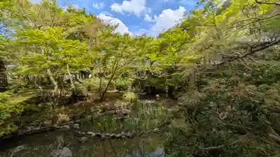 圓光寺(京都府)