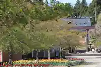 開成山大神宮の景色