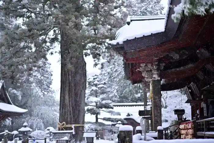 北口本宮冨士浅間神社の建物その他