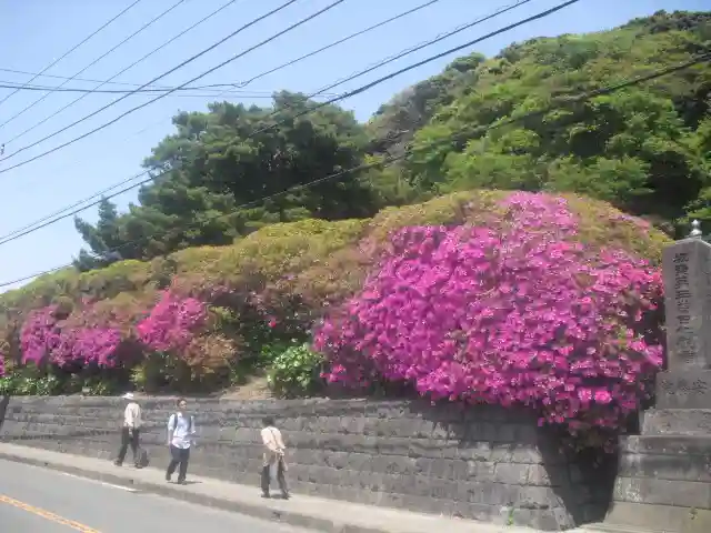 安養院 (田代寺)の周辺