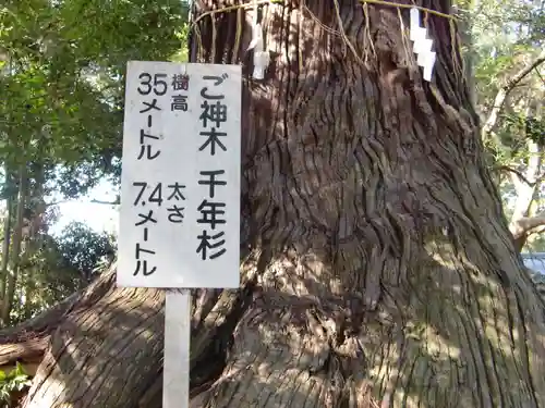 側高神社(千葉県)