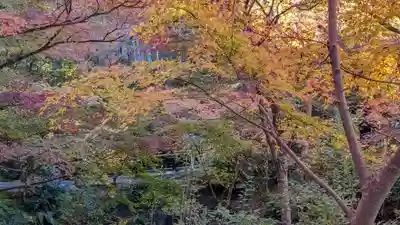圓光寺(京都府)